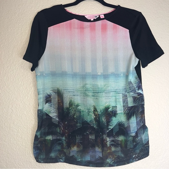 Ted Baker Pink and Blue Raglan Graphic Top Sz 4 US - Picture 1 of 11